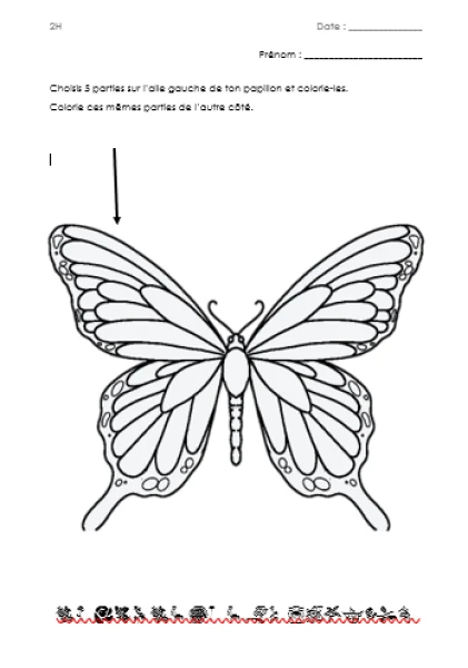 Symétrie du papillon